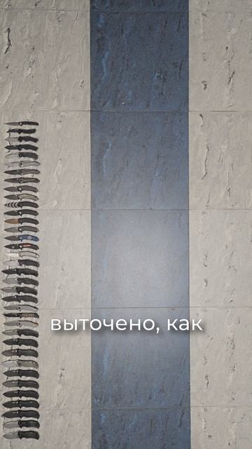 Коллекционер