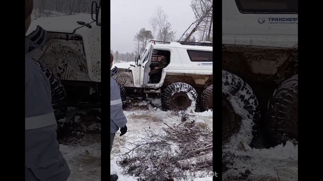 вездеход литвина вмерз в болото  едем отогревать