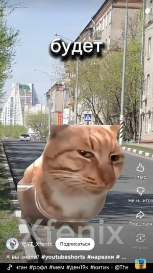 а вы знали что если кричать на камень