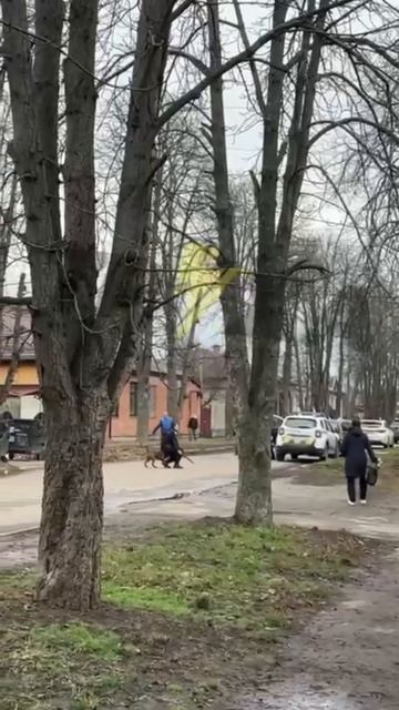 яйцекус питбуль vs тцкашников часть 1 смотреть онлайн