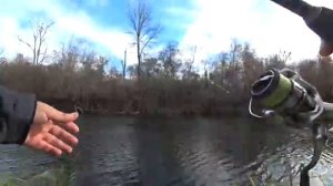 РЫБАЛКА КАК В СКАЗКЕ. ПРОБРАЛСЯ В ДИКИЙ ЗАРОСШИЙ ЛЕС И НАЛОВИЛ ЩУК. Рыбалка на спиннинг с берега