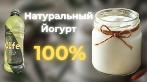 Молоко+OLAIF= НАТУРАЛЬНЫЙ ЙОГУРТ и сила оливковых листьев