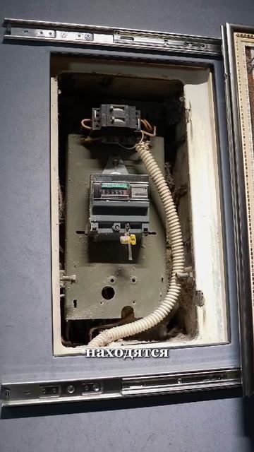 Электрощит (декларация)