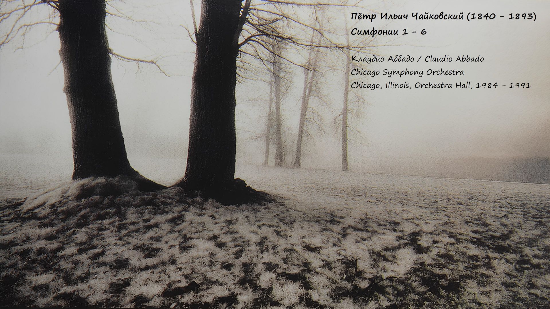 Пётр Ильич Чайковский (1840-1893). Симфонии и оркестровые произведения. CD6