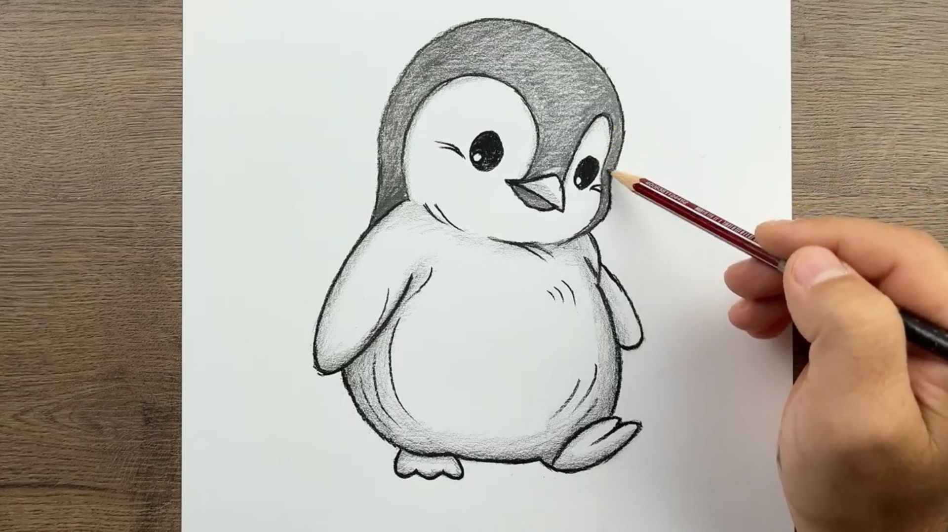 Как нарисовать милого Пингвина поэтапно, используя простой карандашный рисунок смотреть онлайн