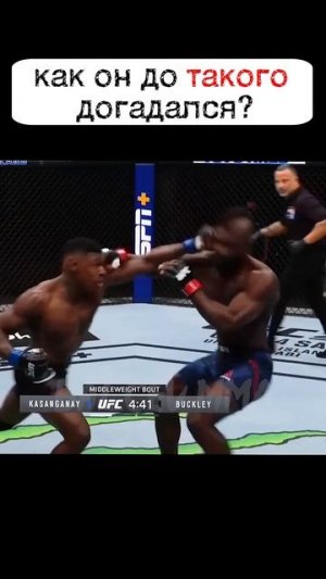 Такого нокаута никто и никогда не видел