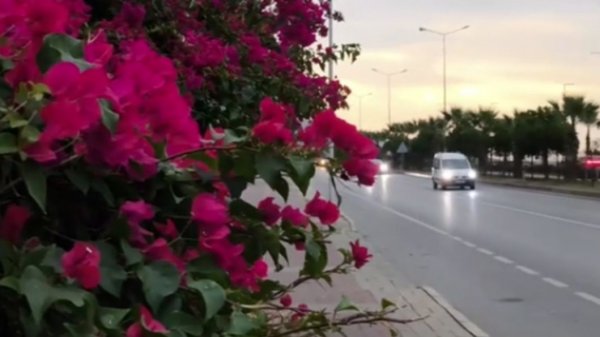 ЗИМНЯЯ АЛАНЬЯ. ТУРЦИЯ 2025.