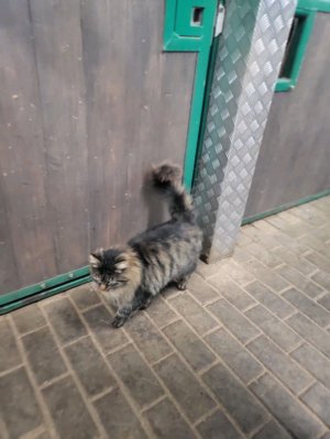 Катя и Дима