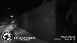 Дружина Русской Общины совместно с полицией накрыла наркоплантацию в Архангельске! #ро