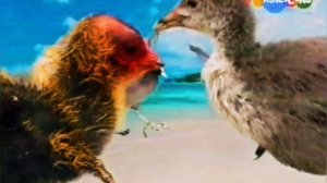 Лысусель 22.04. 2012 года.