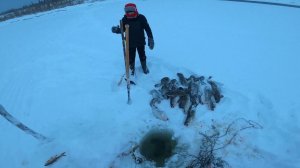 Рыбалка на Енисее. Отличный улов налима. 32