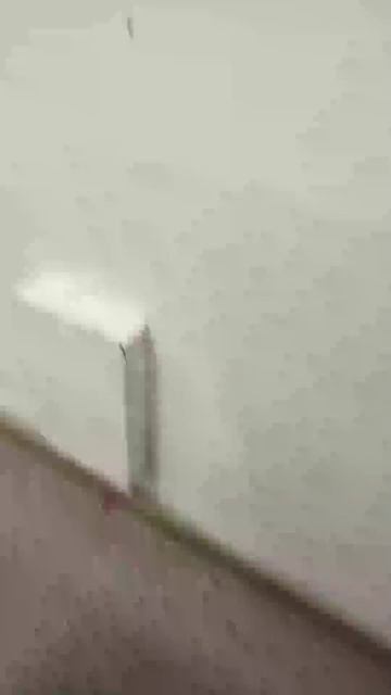 Стрим в школе смотреть онлайн