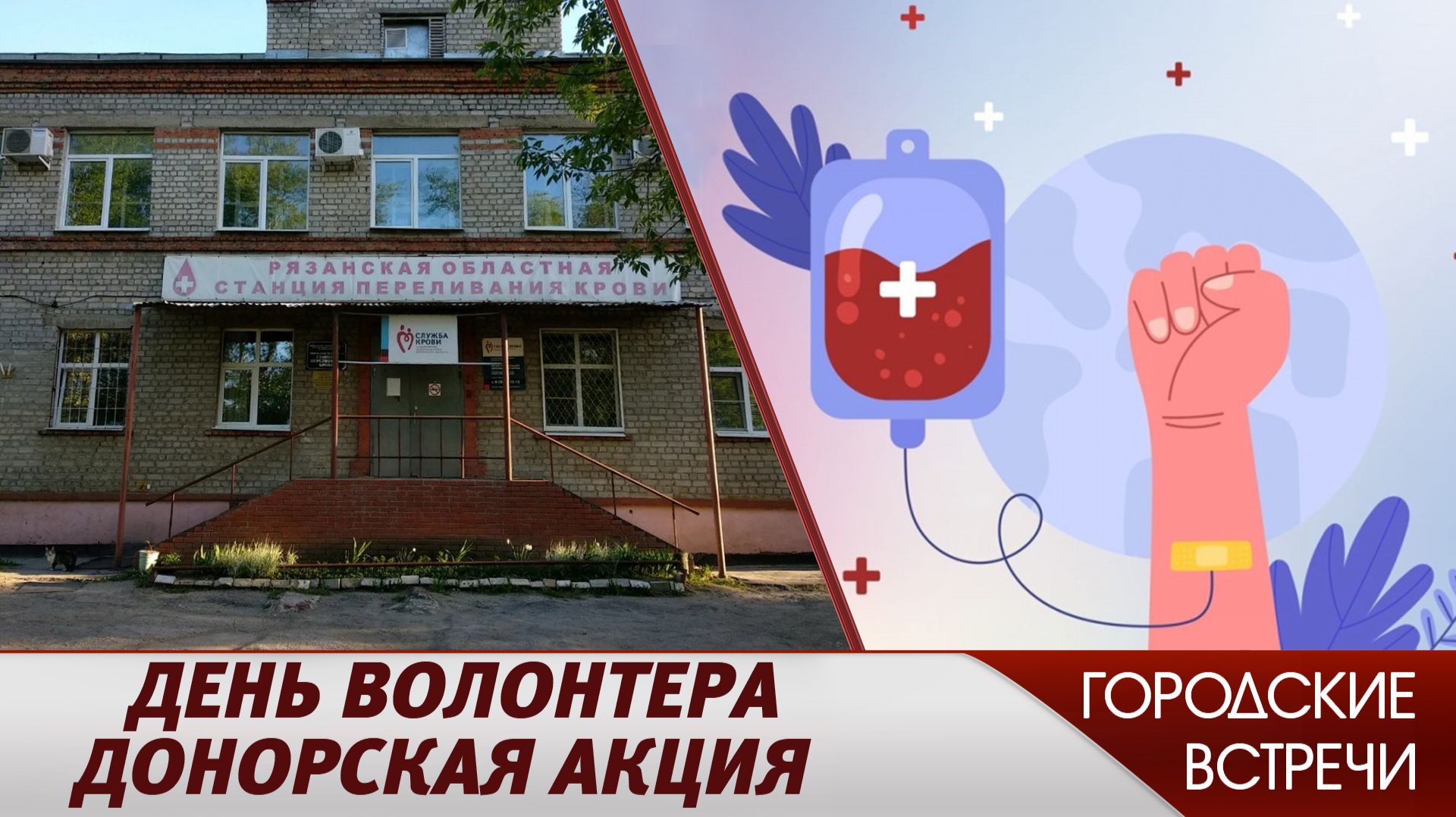 Личный вклад // «Городские встречи» смотреть онлайн