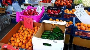 Камышин 5 дек 2025 По городу