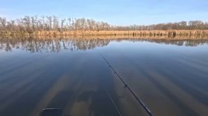 Первая зимняя рыбалка на крупного карася