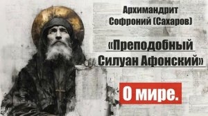 Архимандрит Софроний - Старец Силуан Афонский. Писания старца. Часть 2. Глава 4