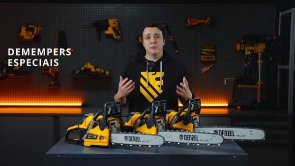 (BRL) Бензиновые пилы MTX серии DS