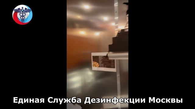 Дезинсекция кафе от ЕСДМ смотреть онлайн