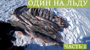 ОДИН НА ЛЬДУ.  ВОТ ЭТО ПОКЛЁВКИ!!! ВОТ ЭТО ТРОФЕИ!!! ЧАСТЬ 1