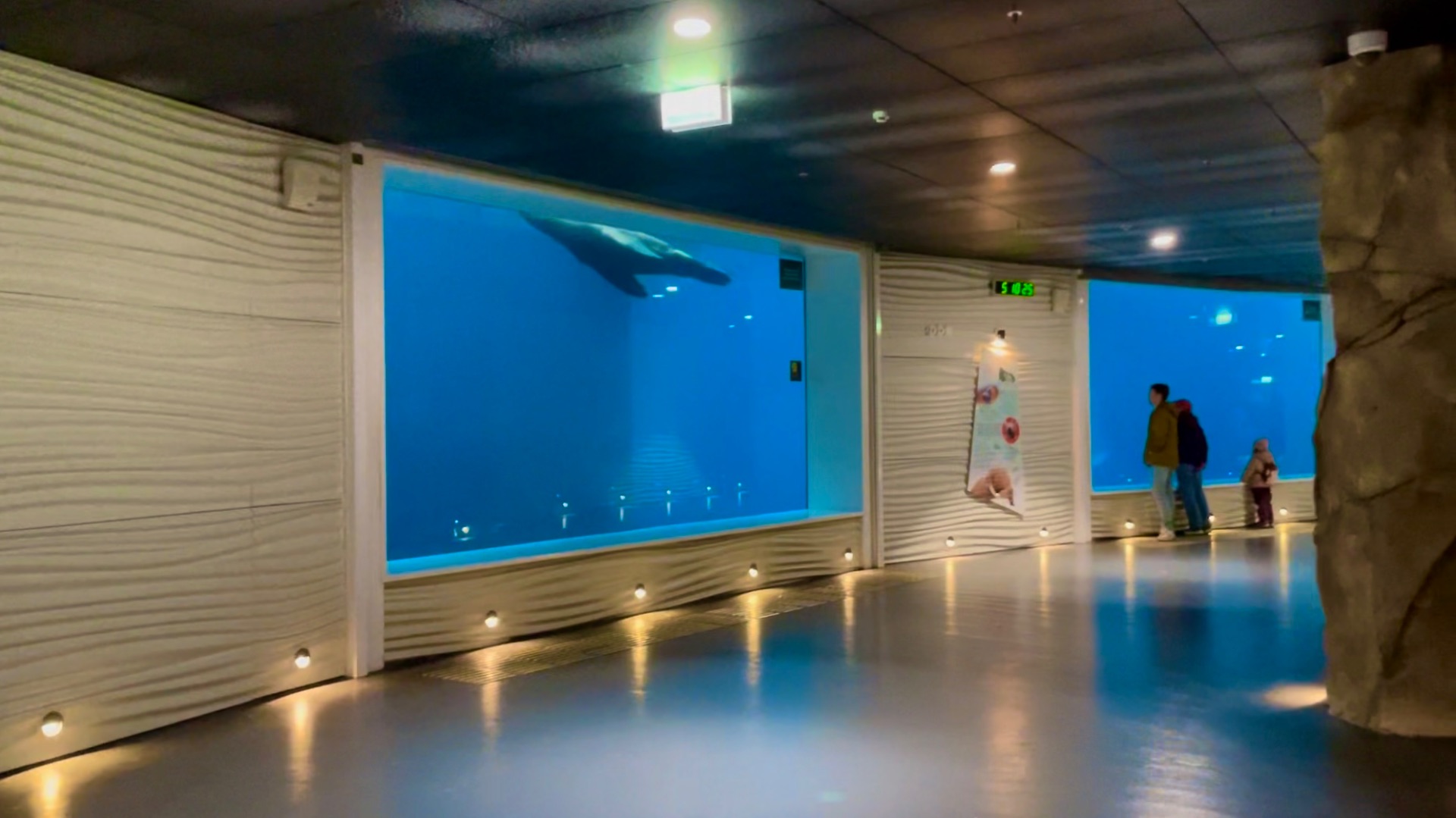 Московский зоопарк. Дикие животные на старой территории зоопарка. Часть 3. Эпизод 90