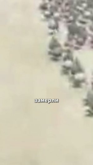 Обзор на фильм "Троя"