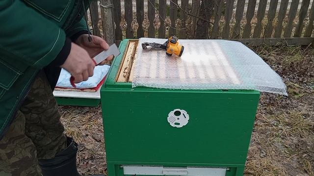 Обстановка на пасеке 4 декабря 2025. Среднерусская пчела. смотреть онлайн