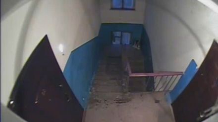 Курьер целует письмо