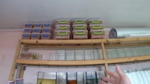 Сколько я получаю ежедневно червя с мини фермы! И другая работа