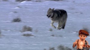 Garik Garik А зона выла