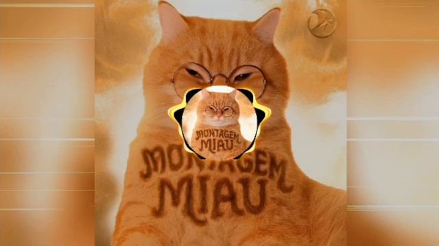 LENAR - MONTAGEM MIAU - full version смотреть онлайн