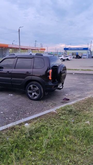 огромные тапки, от японца на ниве