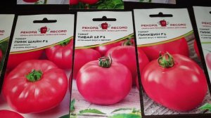 Новинки Томатов на 2026 год. Одни из лучших. В теплице всегда богатый урожай.