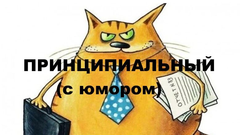 ПРИНЦИПИАЛЬНЫЙ // АВТОРСКАЯ ПЕСНЯ // смотреть онлайн