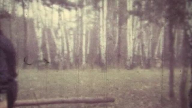 Однажды осенью Проба