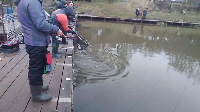 Снова Маггот смотреть онлайн
