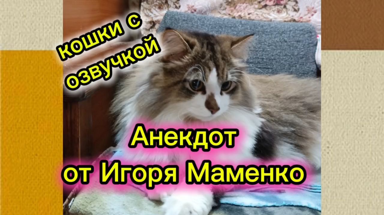 Анекдот от Игоря Маменко. смотреть онлайн