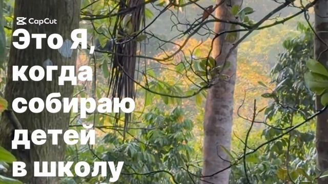 Как я себя чувствую каждое утро собирая детей в школу смотреть онлайн
