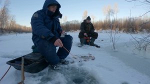 Между первой и второй.... Продолжаем ловить окуня. Сезон 2025-2026.