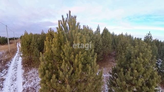 7826887 смотреть онлайн