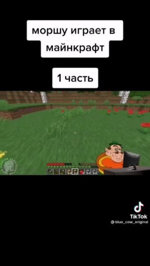 Моршу играет в майнкрафт