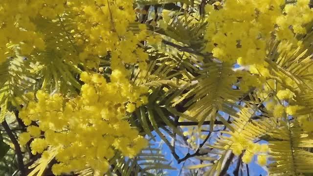 С улыбкой этот день встречай! смотреть онлайн