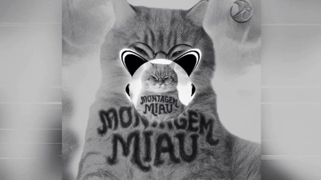 LENAR - MONTAGEM MIAU - ULTRA SLOWED - full version - PHONK