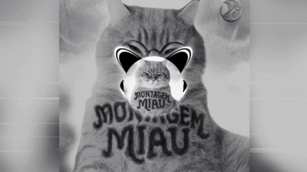 LENAR - MONTAGEM MIAU - ULTRA SLOWED - full version - PHONK