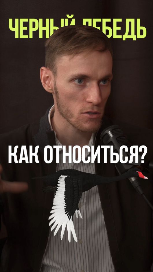 КАК ГОТОВИТЬСЯ У ЧЕРНОМУ ЛЕБЕДЮ #стратегия #рынок #инвестиции #недвижимость #деньги смотреть онлайн