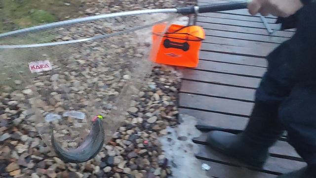 Основной водоём. Форель на резину. смотреть онлайн