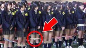 Сравнение Школ В Разных Странах