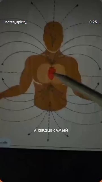 05-12-2025Устройство биороботизированого комплекса "Человек"