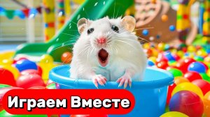 УМНЫЙ ХОМЯК ВЫБИРАЕТСЯ ИЗ СЛОЖНОГО ЛАБИРИНТА С ЛОВУШКАМИ 🐹 ВИДЕО ПРО УМНОГО ХОМЯКА ДЛЯ ДЕТЕЙ 🐹