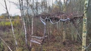 Неожиданная находка в лесу