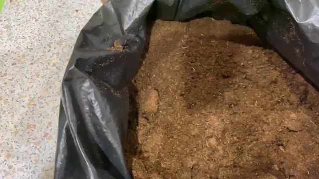 Прокаливание грунта в духовом шкафу смотреть онлайн